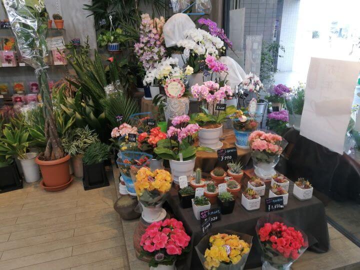 小平駅南口にある花屋フローリストノザキのお花1