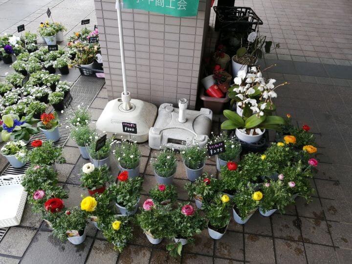 小平駅南口にある花屋フローリストノザキのお花4