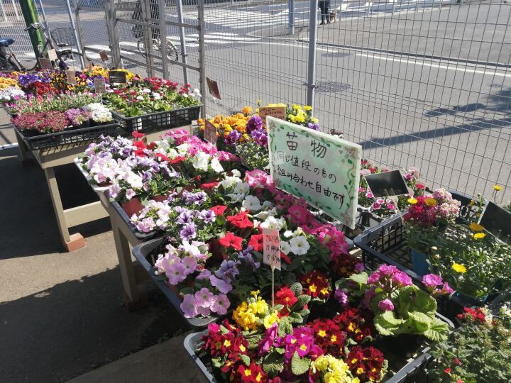 ビタミンfでパワーチャージ 花小金井駅周辺のおすすめ花屋3選 Jimohack 小平市版