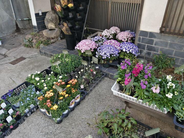 ビタミンfでパワーチャージ 花小金井駅周辺のおすすめ花屋3選 Jimohack 小平市版