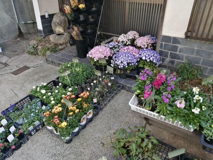 花小金井駅近くにある花屋花のくまがいの店外に並ぶお花たち